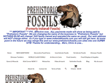 Tablet Screenshot of indiana9fossils.com